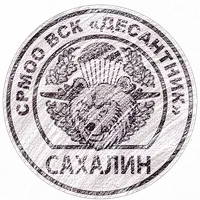 ВСК Десантник: спецзадание icon