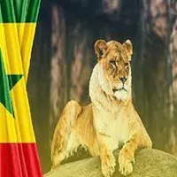 maay-senegal icon