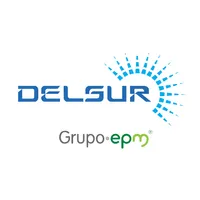 Delsur icon