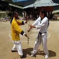 TAEKWONDO PRINCIPIANTES icon