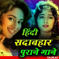 Hindi Sadabahar - Video Song icon