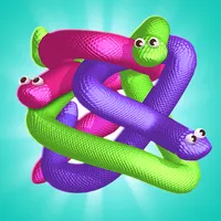 Twisted Snakes: Tangle Master icon