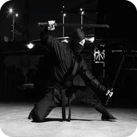 Ninjutsu Techniques icon