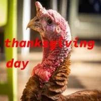 thanksgiving day dinner icon