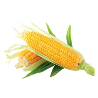Corn: from A to Z icon
