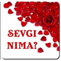 Sevgi nima? (kitobcha) icon