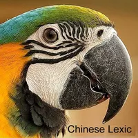 Learn Chinese Hànzì-Vocabulary icon