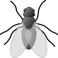 Муха - тренировка внимания icon