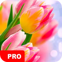 Tulip Wallpapers PRO icon