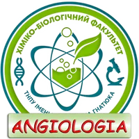 Human Anatomy. Angiology icon