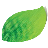 Mobile BPh icon