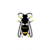 Asian Hornet Watch icon