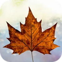Canada Citizenship: Test icon