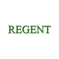 The Regent Chinese Take Away icon