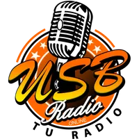 Usb Radio icon