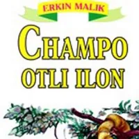 Champo - Ilon icon