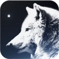 Anton - Bo'rini Uchratgan Kech icon