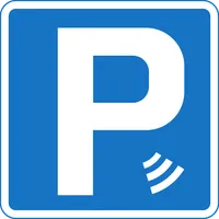 ParKING Entry - VersionX icon