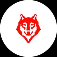 Video Viral icon