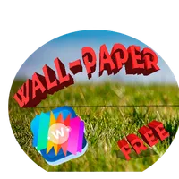 wall-paper icon