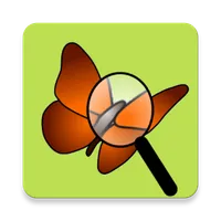FreeMind Viewer icon