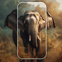 Animal Wallpaper App icon