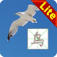 Write Chinese Lite icon