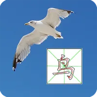 Write Chinese icon