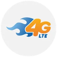 4G Only Network Mode icon