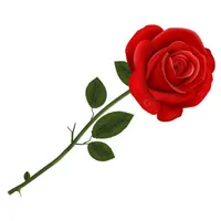 Bengali shayari icon