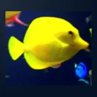 Guppy Wiki icon