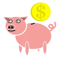 Money Manager icon