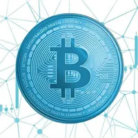 DdbPay icon
