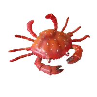 samakan gambar versi laut icon