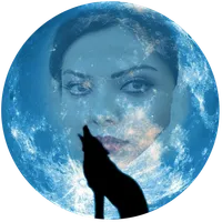 رواية غزالة في صحراء الذئاب icon