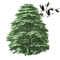 MatCedar Boodskapper icon