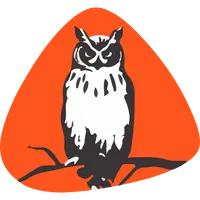 Collection Wise icon