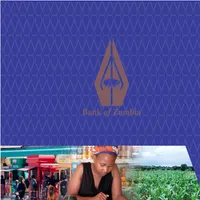 BOZ Strategic Plan icon