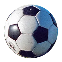ZiBet Pro icon