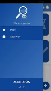 AGD Auditoría screenshot 1