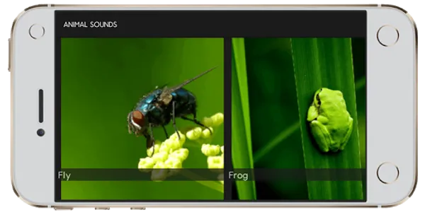Animal Sounds screenshot 2