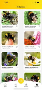 BeeMachine screenshot 1
