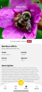 BeeMachine screenshot 4