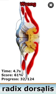 Anatomy Star - CNS (the Brain) screenshot 4