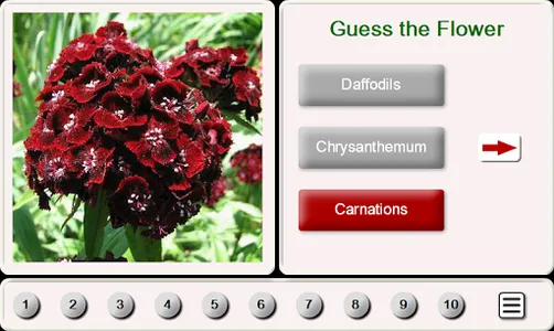 Guess the Flower: Tile Puzzles screenshot 0