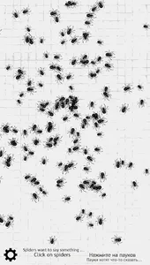 Random number from spiders screenshot 1