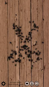 Random number from spiders screenshot 5