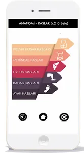 ANATOMİ KAS SİSTEMİ screenshot 1