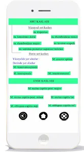 ANATOMİ KAS SİSTEMİ screenshot 2