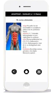 ANATOMİ KAS SİSTEMİ screenshot 3